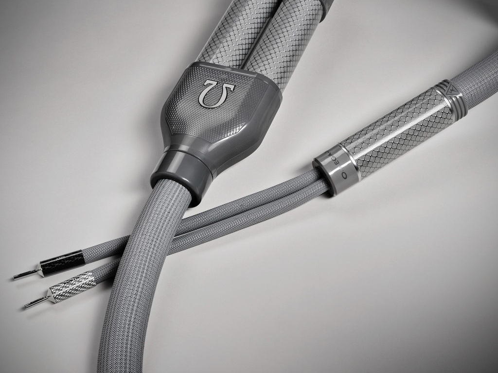 Shunyata Omega-X Luidsprekerkabel 3