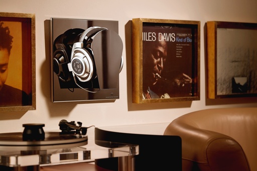 Lehmann Headphone Gallery headphone protector